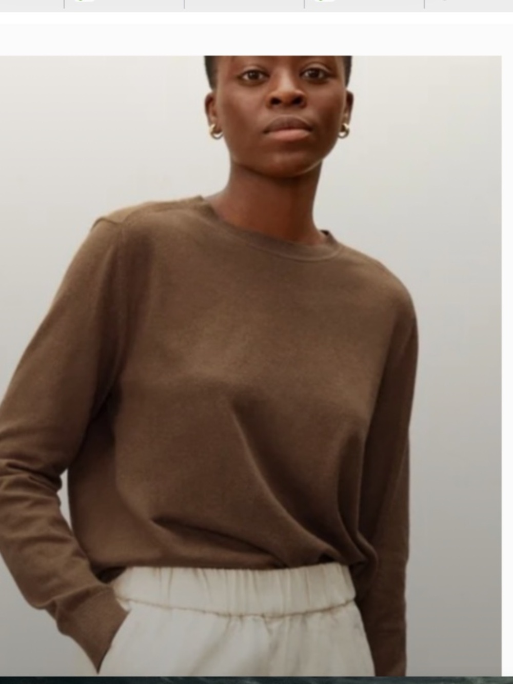 NWOT Everlane Organic Cotton Crewneck Sweater Dark Camel XXS Brown